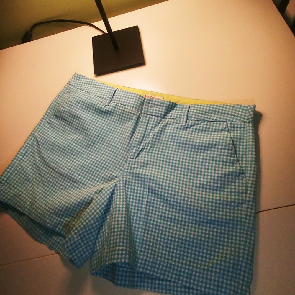 2FOR$15 -- Sz 10 Aquamarine Gingham Shorts